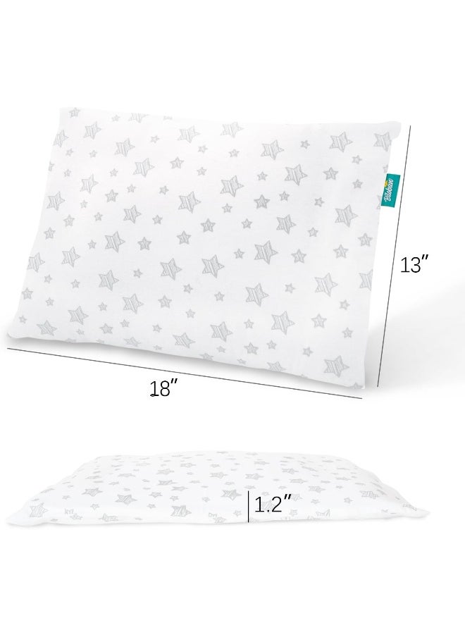 Biloban 2 Pack Small Pillow with Pillowcase (13 x 18), Child Pillow for Sleeping, Machine Washable Soft Travel Pillow, Gray Star