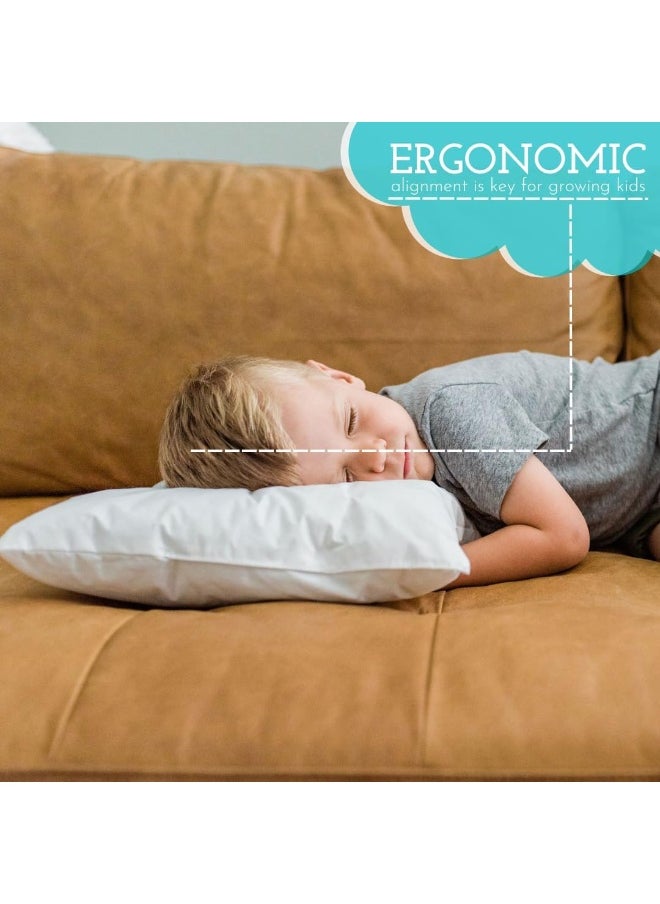 Little Sleepy Head Toddler Pillow - 13x18 Soft Hypoallergenic Toddler Pillows for Sleeping, Best Kids Pillow for Better Neck Support, Better Naps in Bed, a Crib, or at Preschool! (2-Pack)