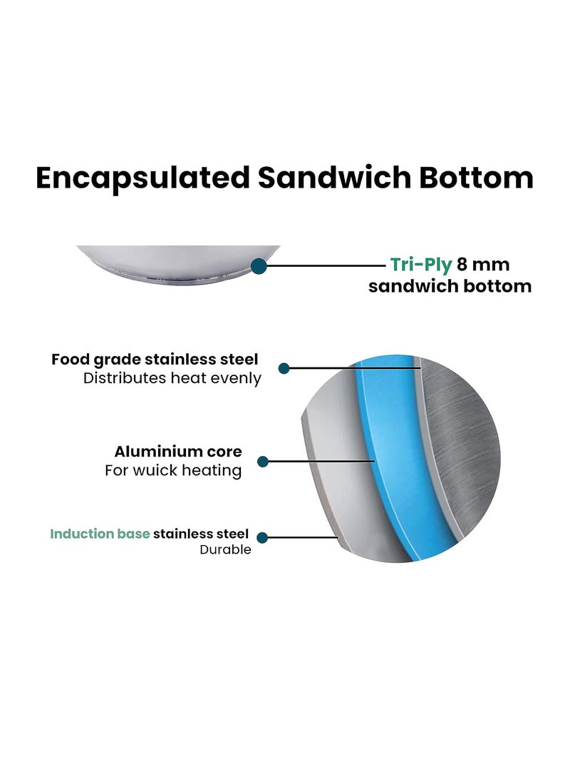 Eurostyle Compact 20 Stainless Steel Idli Maker with Encapsulated Sandwich Bottom Includes 4 Idli Plates 20 Pits 1 Steamer Plate for Momos 1 Mini Idli Plate for Idly Dhokla Compact 20 Prime