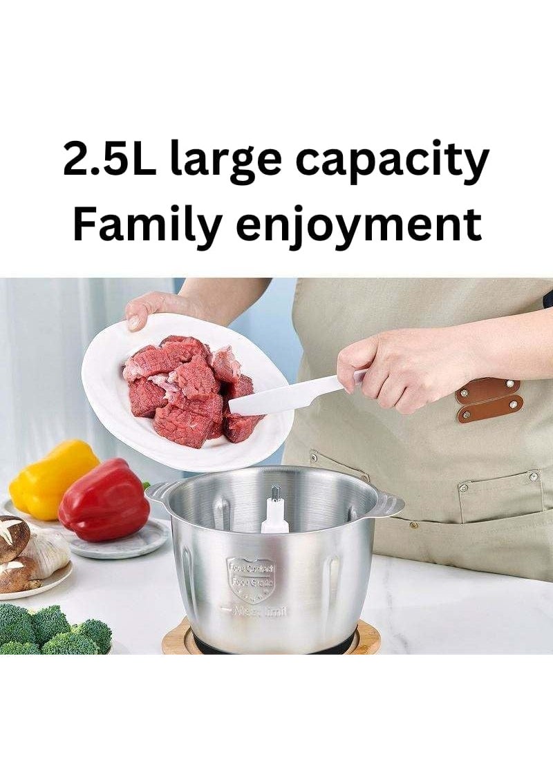 REMICH Meat Grinder Household MultiFunction Minced Vegetable Filling Cooking Machine 25L Mincer Electric Multi Chopper with 2 Speed Levels 800W Food Chopper Vegetable Fruit Onion Cutter