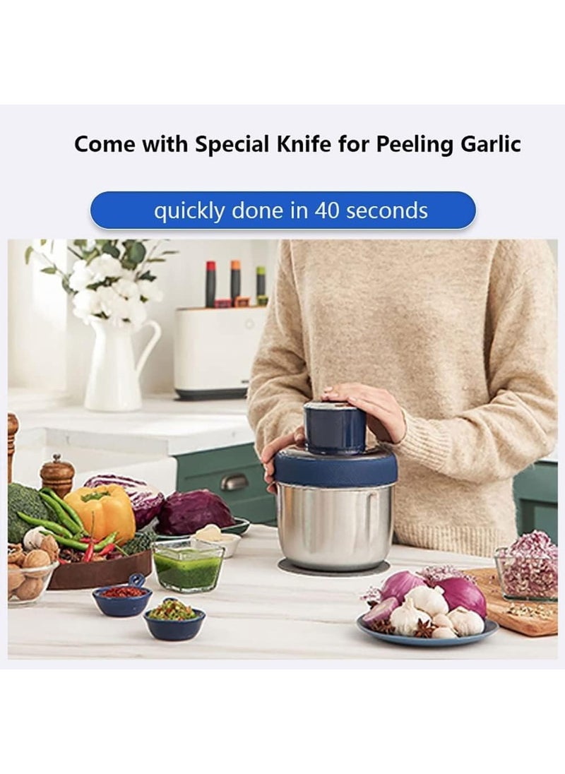 REMICH Meat Grinder Household MultiFunction Minced Vegetable Filling Cooking Machine 25L Mincer Electric Multi Chopper with 2 Speed Levels 800W Food Chopper Vegetable Fruit Onion Cutter