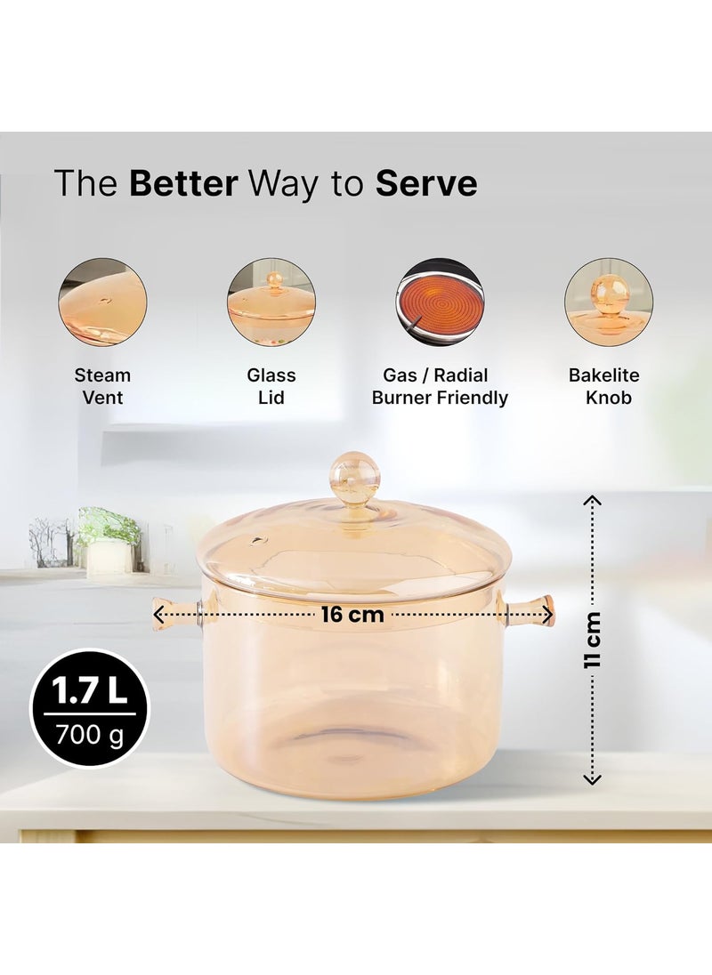 Urbane Home 17L Borosilicate Glass Sauce Pan with Lid Handle Heat Resistant Gas Stove Induction Sauce Pan for tea Coffee Milk Boiling Handi Pot Vessel TransparentBYE10AMB