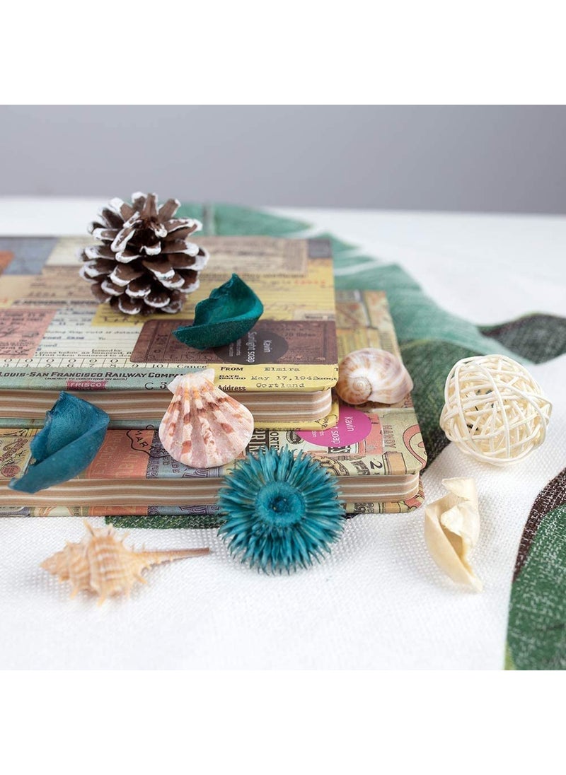 Urban Sajavaat Aroma Potpourri with Borosilate Glass Jar Ocean Breeze Beach Style Dried Flower with SeaShell Jars Wooden Cork Lids Food Container