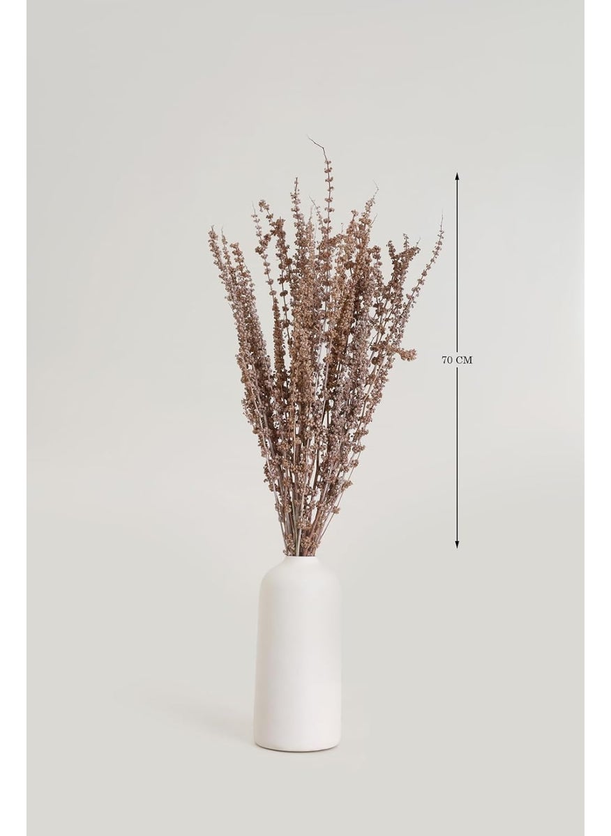 PUREZENTO Potpourri Unscented Palam Grass Natural Dried Bunch Flower for Parties Side Corners Farmhouse Wedding Vase Fillers Bedroom Office Home Decoration