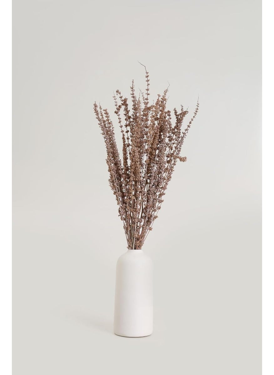 PUREZENTO Potpourri Unscented Palam Grass Natural Dried Bunch Flower for Parties Side Corners Farmhouse Wedding Vase Fillers Bedroom Office Home Decoration