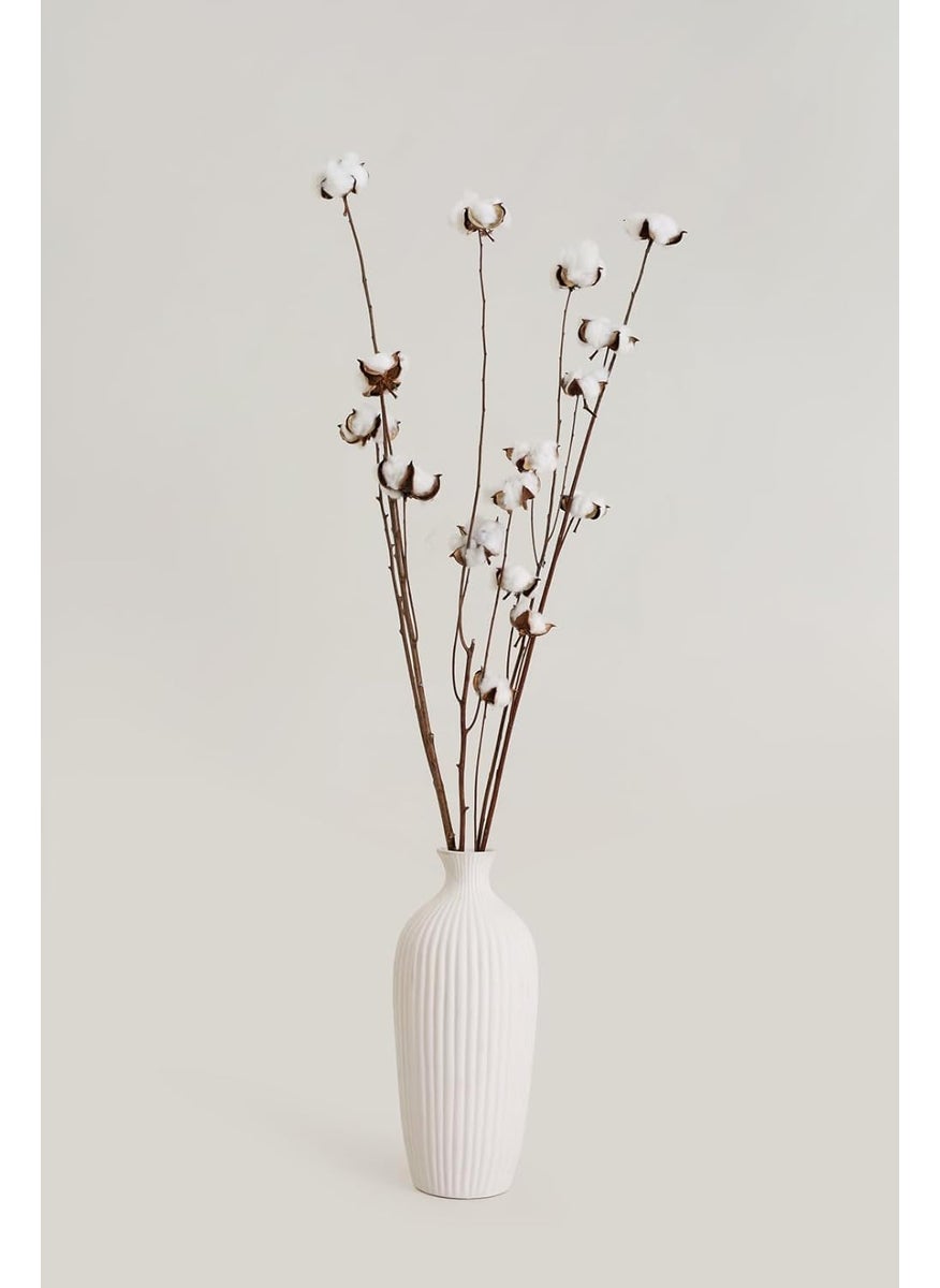 PUREZENTO Potpourri Unscented Cotton Pods Natural Pack of 14 Pods Dried Flower for Parties Side Corners Farmhouse Wedding Vase Fillers Bedroom Office Home Decoration