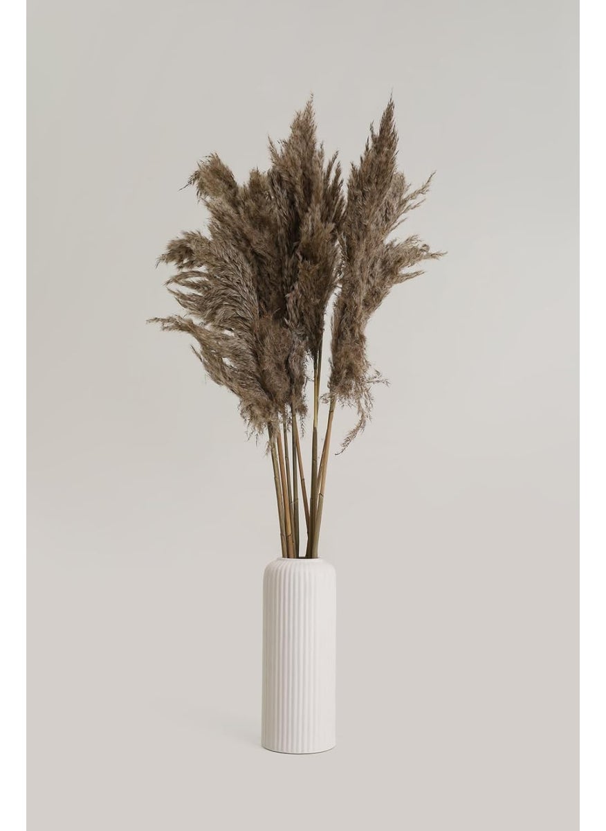 PUREZENTO Potpourri Unscented Fluffy Pampas Natural Pack of 5 Stems Dried Flower for Home Decoration Office Bedroom Vase Fillers Wedding Farmhouse Side Corners Parties