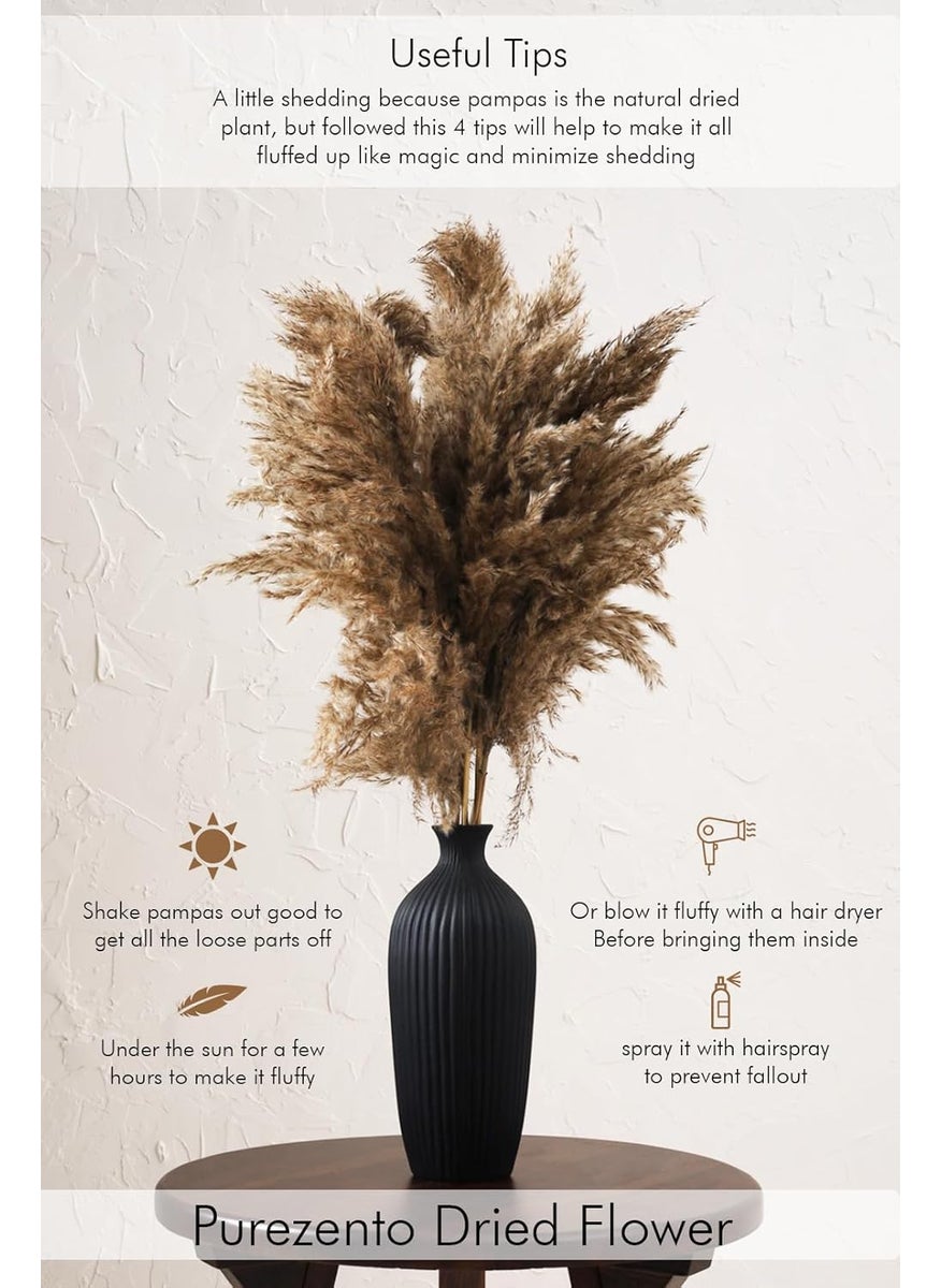 PUREZENTO Potpourri Unscented Fluffy Pampas Natural Pack of 5 Stems Dried Flower for Home Decoration Office Bedroom Vase Fillers Wedding Farmhouse Side Corners Parties