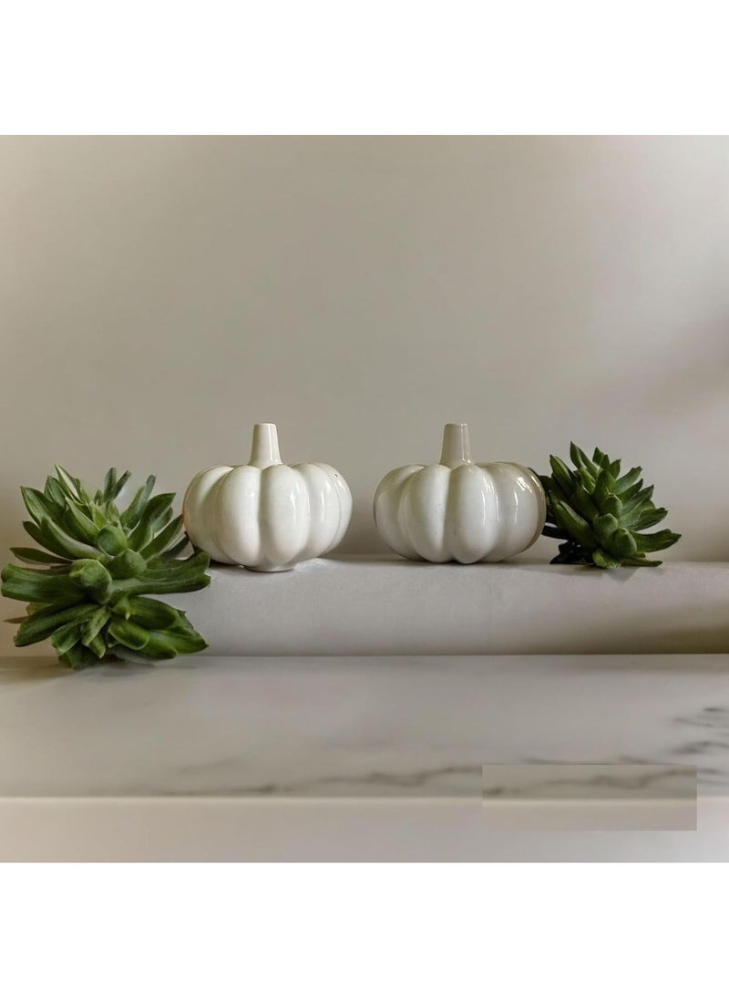 Kraftlik Handicrafts Ceramic Pumpkin Shape Vases Pumpkin Planter Flower Pot Bottle Shape with Unique for Home Decor Center Table Bedroom Side Corners Decoration