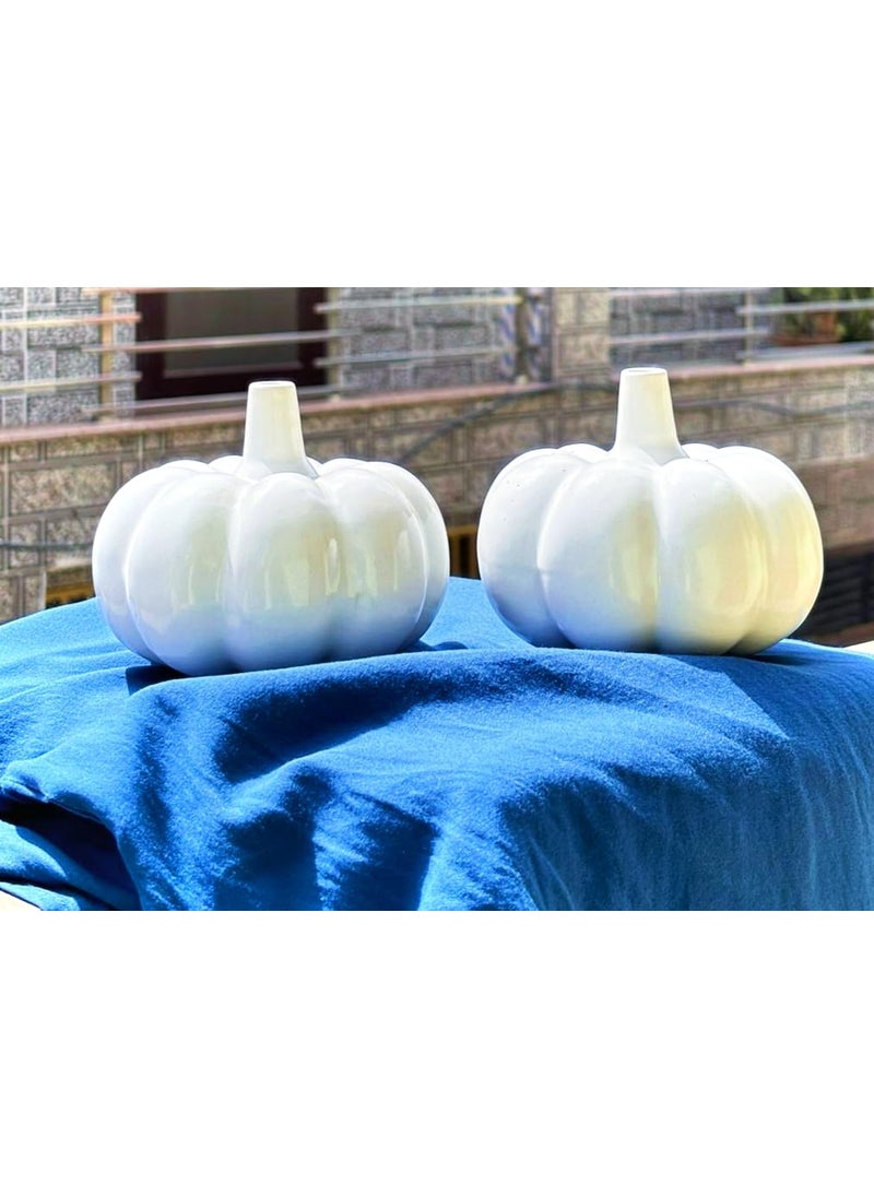 Kraftlik Handicrafts Ceramic Pumpkin Shape Vases Pumpkin Planter Flower Pot Bottle Shape with Unique for Home Decor Center Table Bedroom Side Corners Decoration