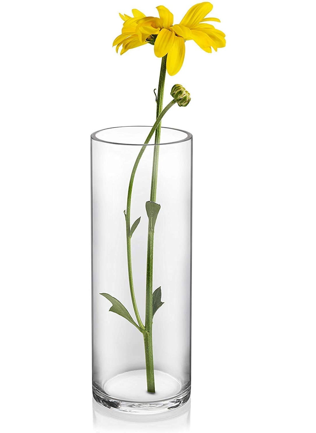 Rishabh Home Decoration Glass Clear Cylinder Vase Floral Cylinder Glass Vase for Weddings Events Decorating Arrangements Flowers Office or Home