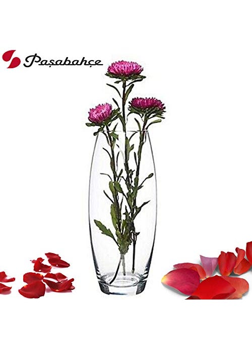 Pasabahce Glass Botanica Oblong Concave Vase 1 Pc Transparent 1715 ml Modern Glass Vase for Floral Arrangements Home Dcor and Table Centerpieces Decorative Piece for Any Room
