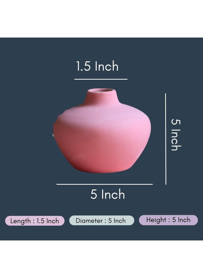 WEAVING HOMES Esoteric Vase Round Pink Vase for Flower Plants Office Living Room Bedroom Table Top Decorations Items Home Decor Centerpiece Pampas Grass Decor Any Occasion Gift
