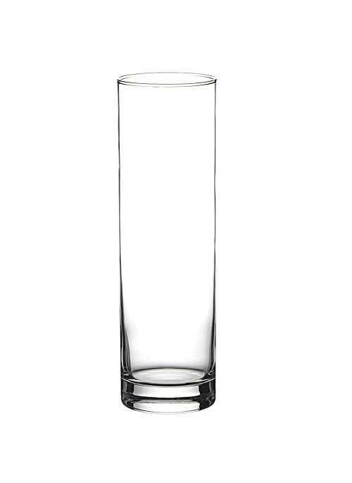 Pasabahce Glass Botanica Oblong Staight Vase 1 Pc Transparent 1035 ml Modern Glass Vase for Floral Arrangements Home Dcor and Table Centerpieces Decorative Piece for Any Room