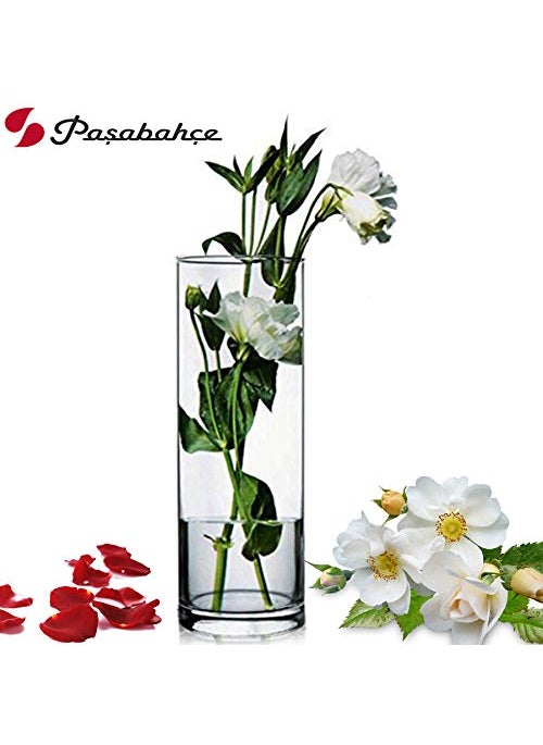 Pasabahce Glass Botanica Oblong Staight Vase 1 Pc Transparent 1035 ml Modern Glass Vase for Floral Arrangements Home Dcor and Table Centerpieces Decorative Piece for Any Room