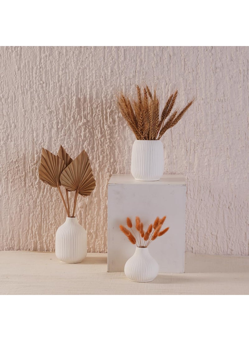 PUREZENTO White Ceramic Textured Vase Set of 3 Vases for Modern Home Decor Living Room Dining Table and Shelf Styling Decorative Vase for Pampas Grass Fresh Dried Artificial Flowers