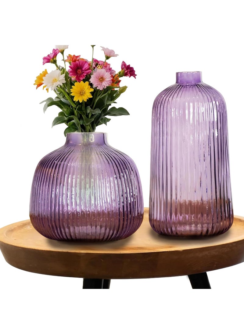 Praahi Lifestyle Decorative Bottle Round Glass Vases for Flower Plants Set of 2 6 inches 85 inches Purple Color Modern Home DecorOffice and Living Room Centerpieces Decoration Items