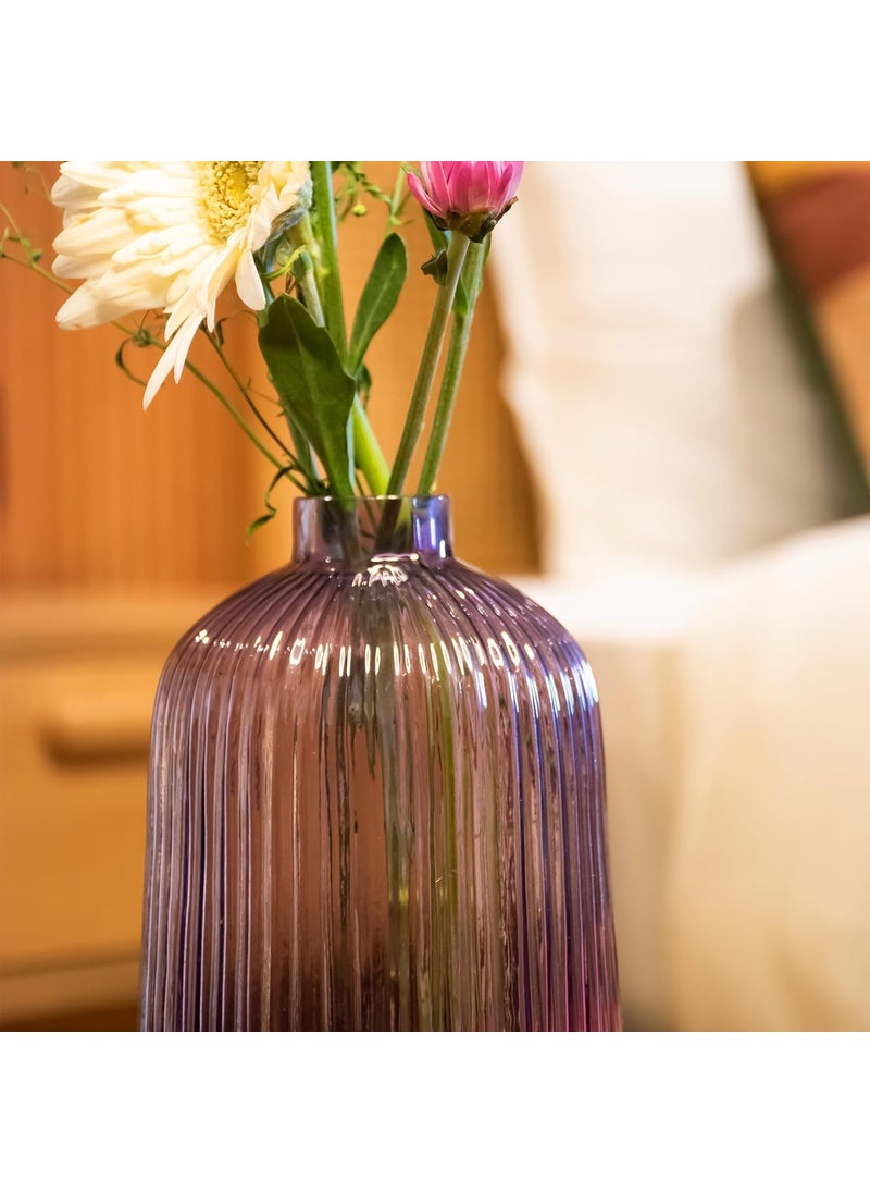 Praahi Lifestyle Decorative Bottle Round Glass Vases for Flower Plants Set of 2 6 inches 85 inches Purple Color Modern Home DecorOffice and Living Room Centerpieces Decoration Items