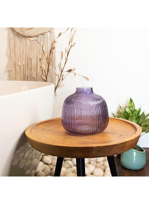 Praahi Lifestyle Decorative Bottle Round Glass Vases for Flower Plants Set of 2 6 inches 85 inches Purple Color Modern Home DecorOffice and Living Room Centerpieces Decoration Items