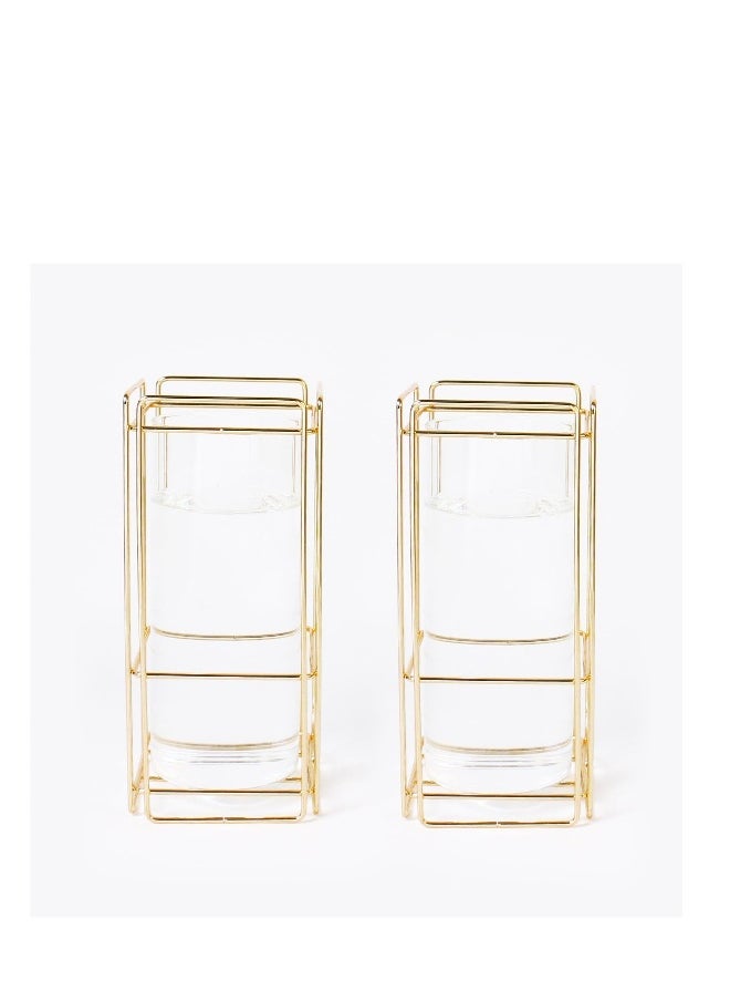 Glass Flower Vase Set of 2 for Living Room Bedroom 9.25'' Clear Hydroponic Plant Vases with Gold Metal Frame Stand 2 Pack Modern Classic Geometric Creative Home Office Decoration