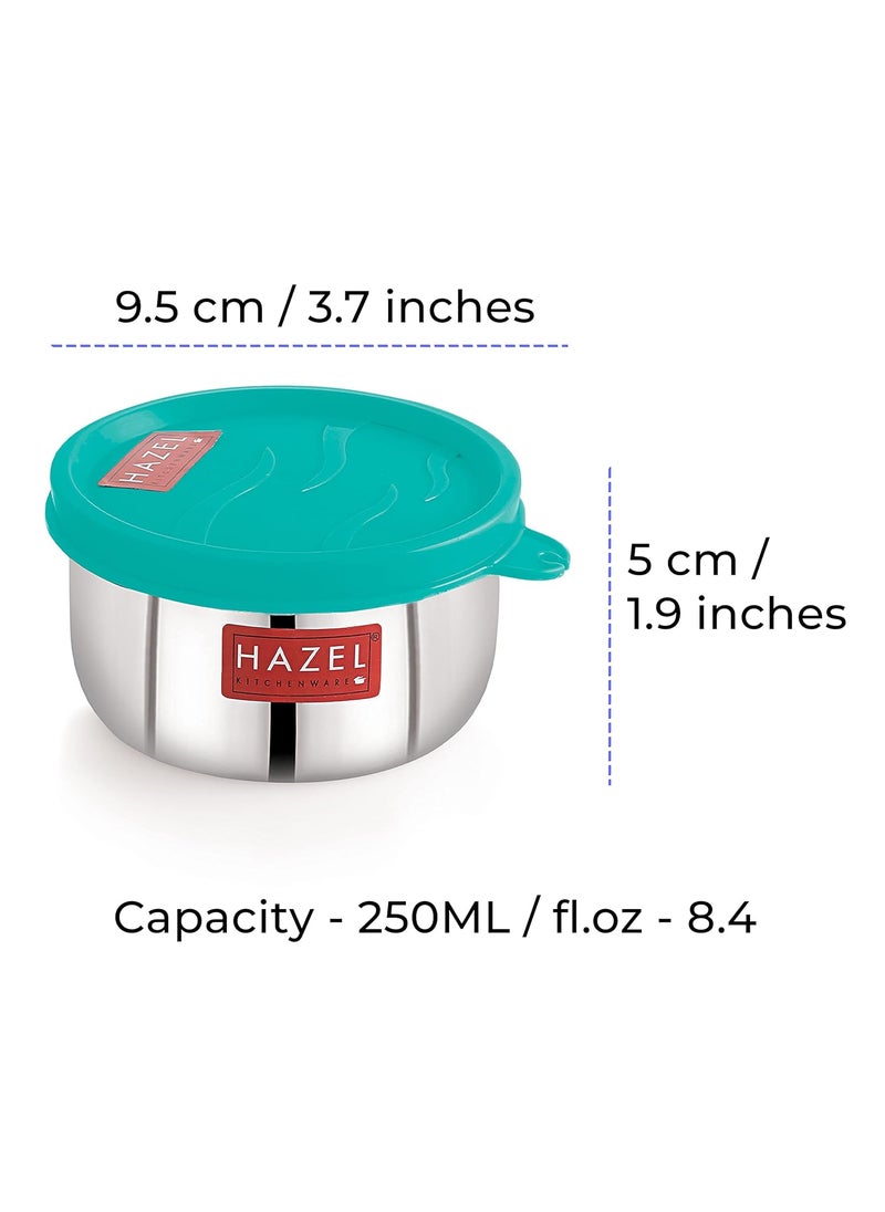 HAZEL Stainless Steel Kitchen Containers Set of 2|Storage Box for Kitchen & Tiffin Boxes|Air Tight Containers for Storage with Leak Proof Lid, 250 ML Each, Silver