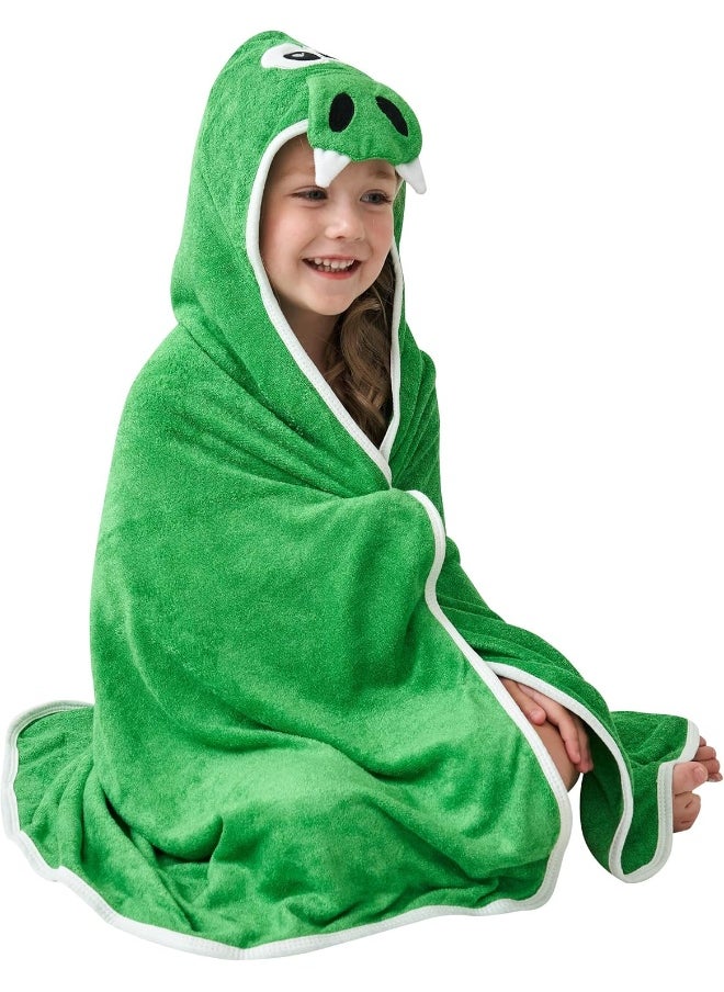 HIPHOP PANDA Hooded Towel - Rayon Made from Bamboo, Bath Towel with Bear Ears for Newborn, Babie, Toddler, Infant - Absorbent Large Baby Towel - Dinosaur, 30 x 30 Inch