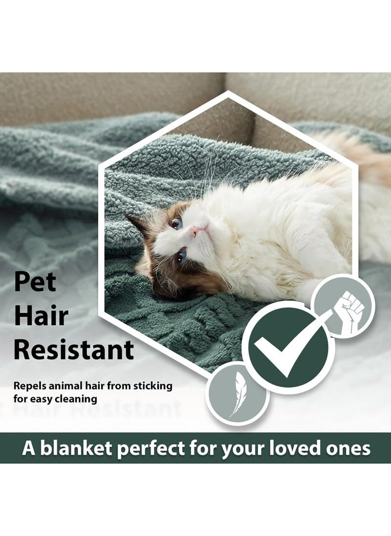 VAS COLLECTIONS Flannel with Sherpa Luxurious Super Soft Fluffy Cozy Fuzzy Warm Reversible Double Bed Blanket for Heavy Winter 500GSM BlanketQuilt Rajaai Bottle Green 230 x 220 Cm 3kg