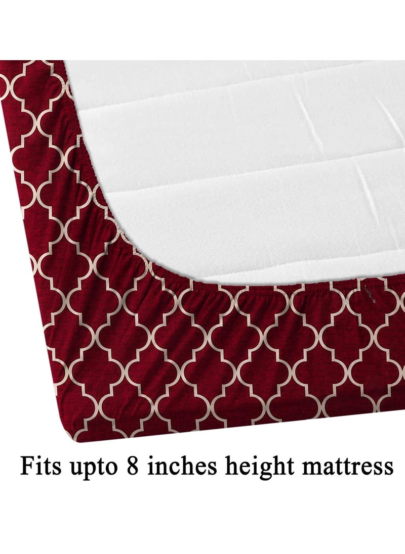 RAREBIRD 100 King Size Glace Cotton Feel 210 Tc All Over Elastic Fitted Size 72x78x8 inch Double Bedsheet with 2 Pillow Covers Color_ Red Carpet