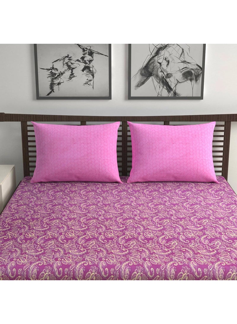 Divine Casa Pure Cotton Bedsheet Soft Durable for Double Beds King Size 2 Pillow Covers 222 X 254 cm 46 X 71 cm