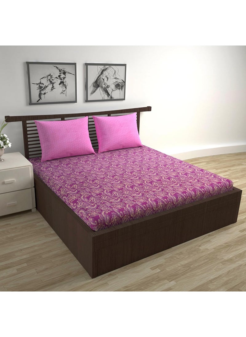 Divine Casa Pure Cotton Bedsheet Soft Durable for Double Beds King Size 2 Pillow Covers 222 X 254 cm 46 X 71 cm