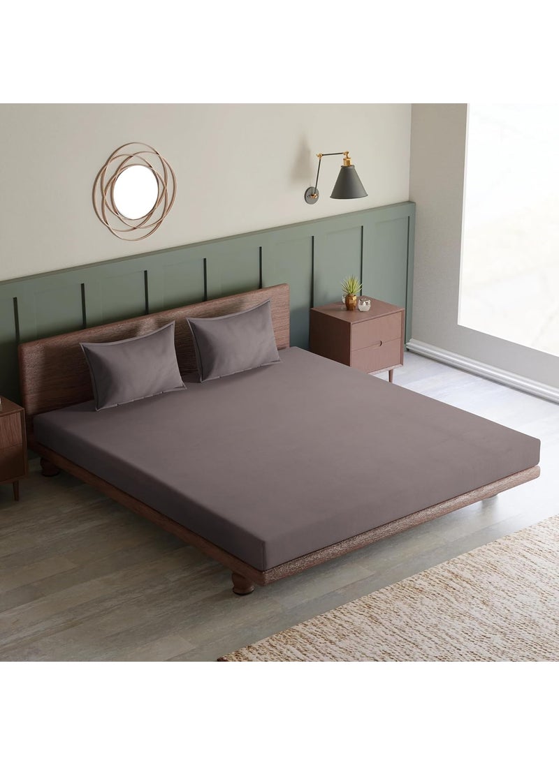 CloudWeave Home Company Premium 210TC Cotton Striped Hotel Bedsheets for King Size Bed Fitted Bedsheet 72 x 78 inches 10 Inch Drop with 2 Pillow Covers 18 x 27 Inches Dark Grey Bedsheet