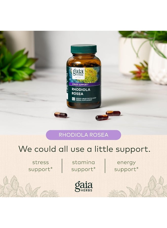 Rhodiola Rosea - Stress Support Supplement Traditionally For Supporting Healthy Stamina And Endurance - With Siberian Rhodiola Root Extract - 60 Vegan Liquid Phyto-Capsules (30-Day Supply)