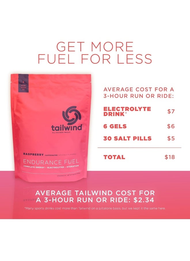Endurance Fuel, Electrolyte & Hydration Sports Drink Mix Powder With Caffeine, Gluten-Free, Vegan, Raspberry Buzz, 50 Servings (Caffeinated)