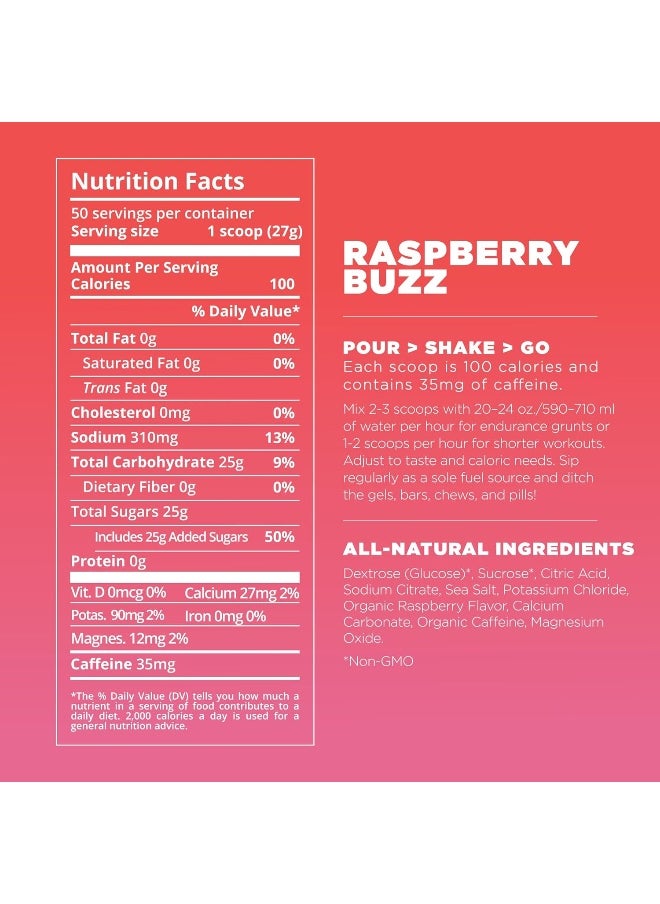 Endurance Fuel, Electrolyte & Hydration Sports Drink Mix Powder With Caffeine, Gluten-Free, Vegan, Raspberry Buzz, 50 Servings (Caffeinated)