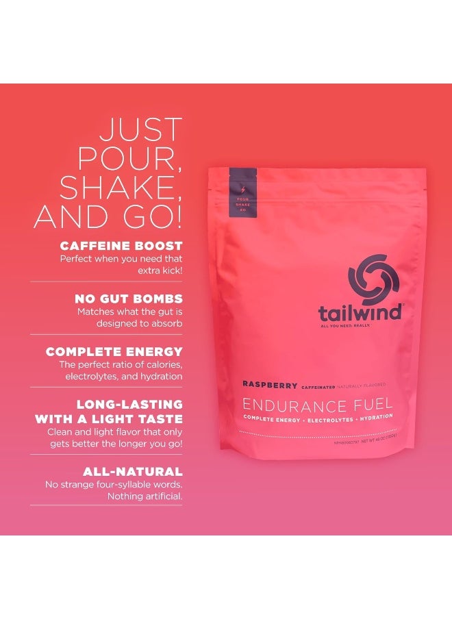 Endurance Fuel, Electrolyte & Hydration Sports Drink Mix Powder With Caffeine, Gluten-Free, Vegan, Raspberry Buzz, 50 Servings (Caffeinated)