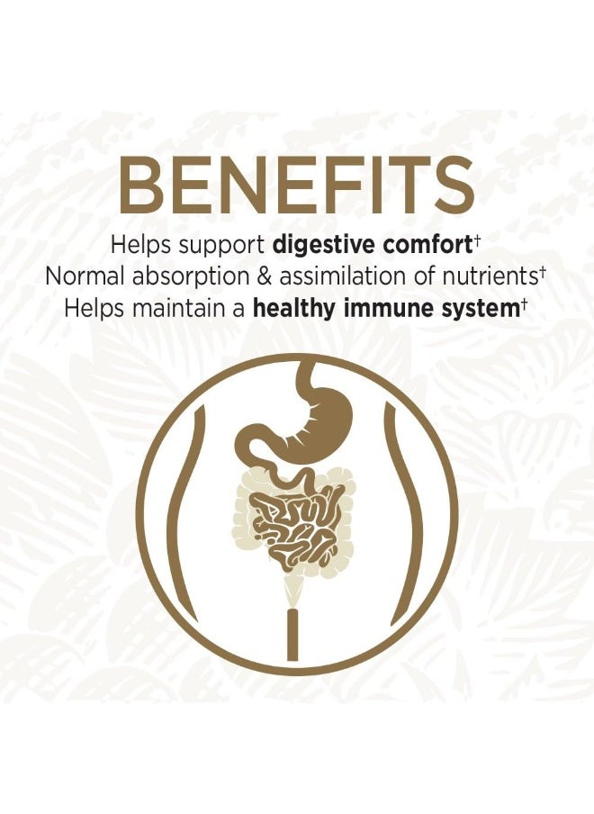 Whole Food Primal Defense Ultra Ultimate Probiotic Dietary Supplement Vegetarian Capsules For Digestive And Gut Health