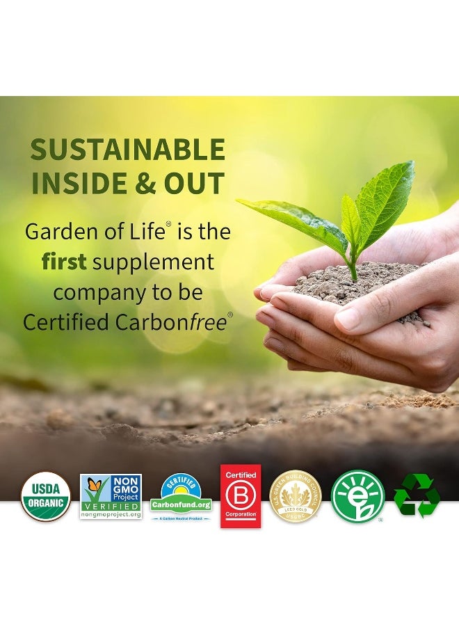 Organic Plant Protein Smooth Unflavored Powder