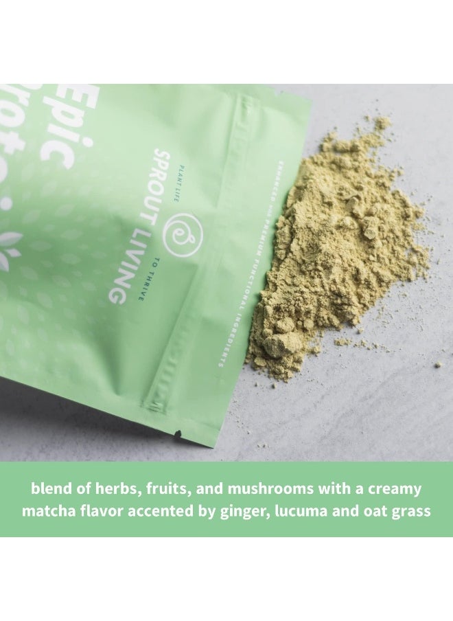 Organic Plant Protein Matcha Nootropics
