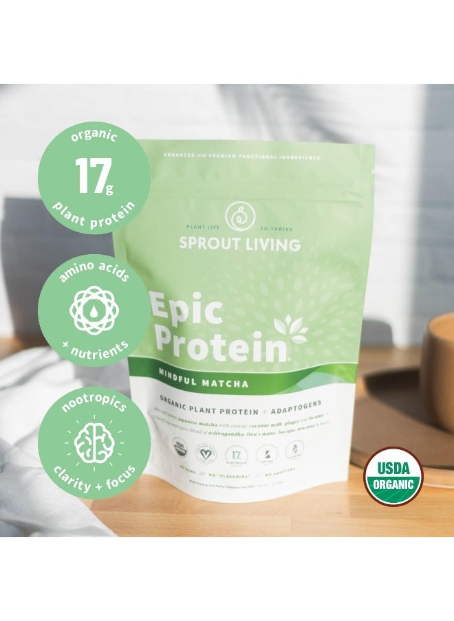 Organic Plant Protein Matcha Nootropics
