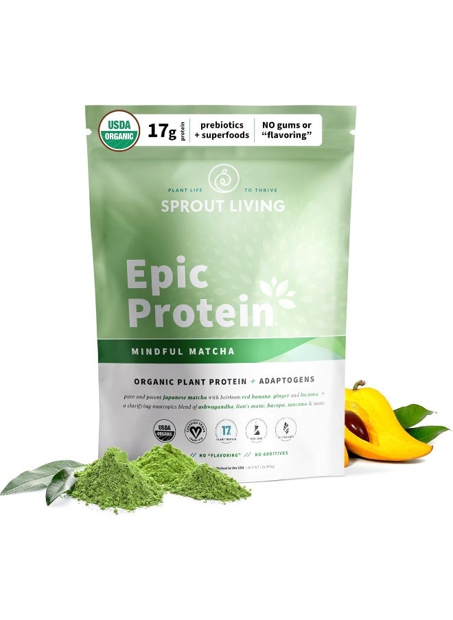Organic Plant Protein Matcha Nootropics