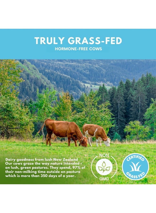 Grass Fed Chocolate Whey Protein Isolate Powder