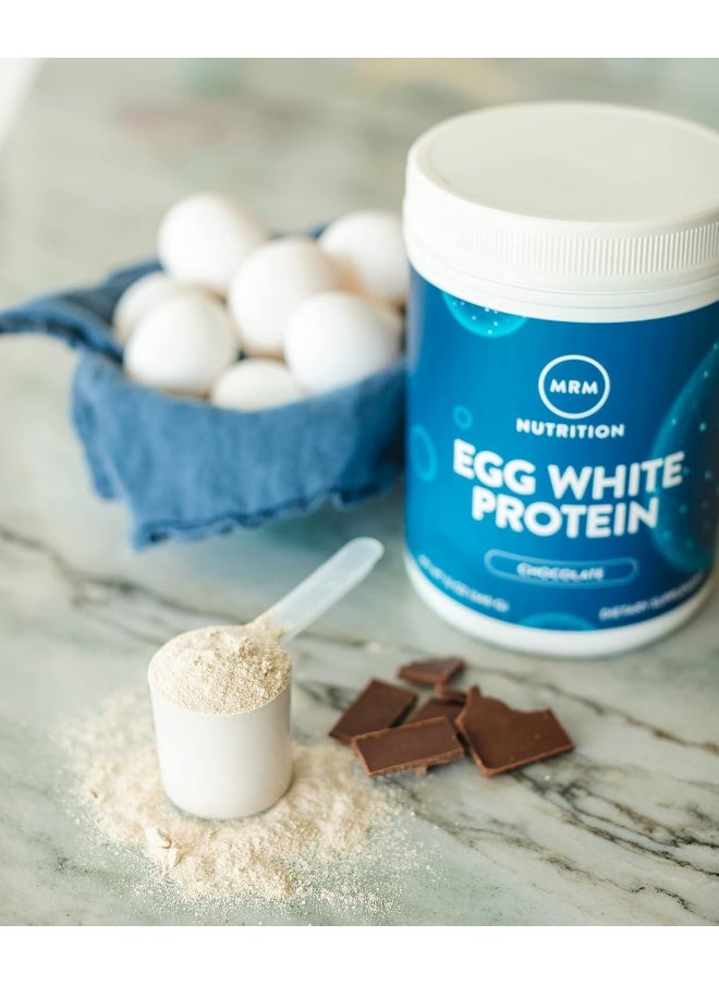 Natural Egg White Protein Powder - Chocolate - 350Ml