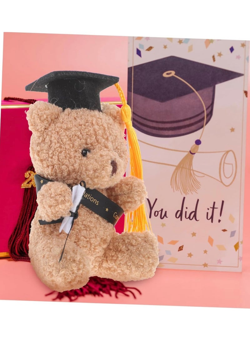 Teddy Bear Graduation Plush Toy Present for him her Women Men, Cute Gift Idea for Boys Girls, Congratulations Party Surprise Nursery School University, End of Class 2025 Term