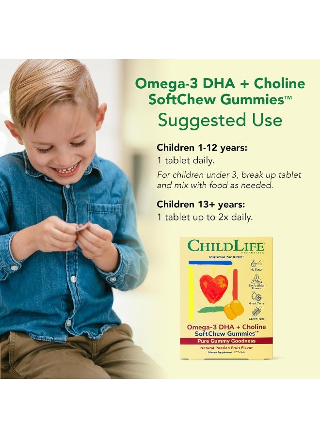 Omega-3 Dha Choline Softmelts Natural Passion Fruit Flavor 27 Tablets