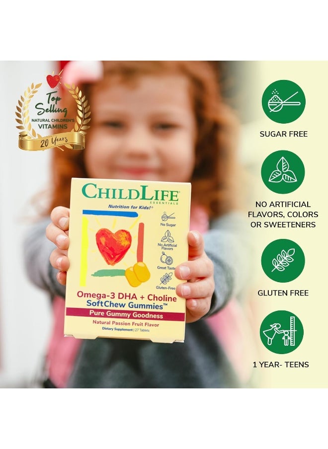 Omega-3 Dha Choline Softmelts Natural Passion Fruit Flavor 27 Tablets
