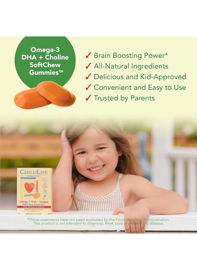 Omega-3 Dha Choline Softmelts Natural Passion Fruit Flavor 27 Tablets