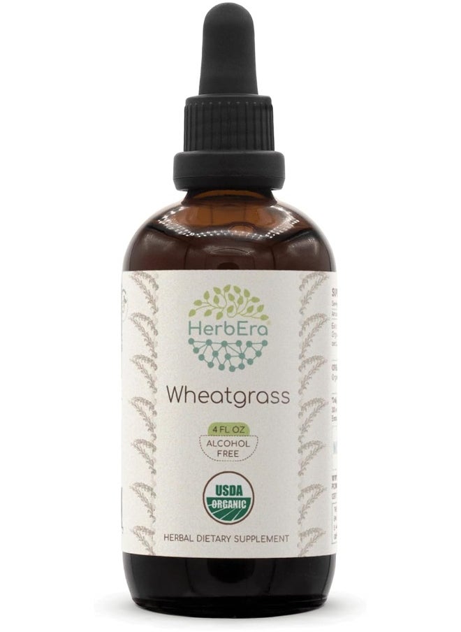 HerbEra Wheatgrass B120 USDA Organic Tincture | Alcohol-Free Extract, High-Potency Herbal Drops, Liquid Supplement | Certified Organic Wheatgrass (Triticum aestivum) Dried Leaf (4 oz)