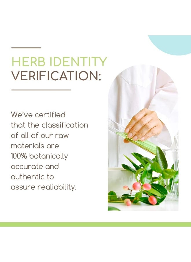 HerbEra Blood Pressure Formula B120 Alcohol-Free Extract Tincture