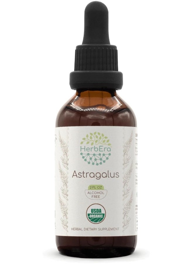 Astragalus B60 USDA Organic Tincture | Alcohol-Free Extract, High-Potency Herbal Drops | Certified Organic Astragalus (Astragalus membranaceus) Dried Root (2 oz)