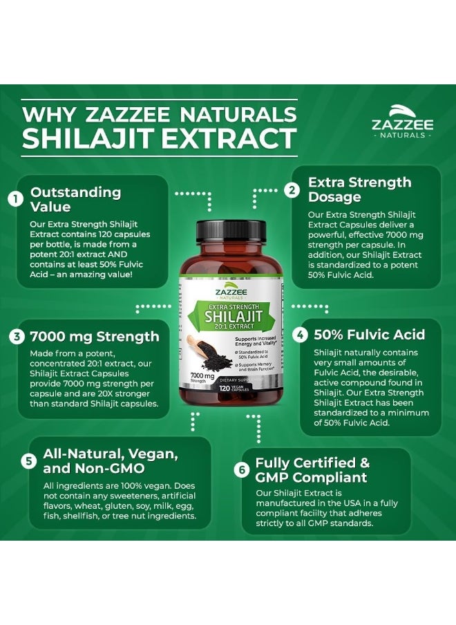Shilajit Extract Fulvic Acid, 120 Capsules